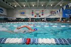 Swim vs Bentley  Wheaton College Swimming & Diving vs Bentley University. - Photo by Keith Nordstrom : Wheaton, Swimming & Diving